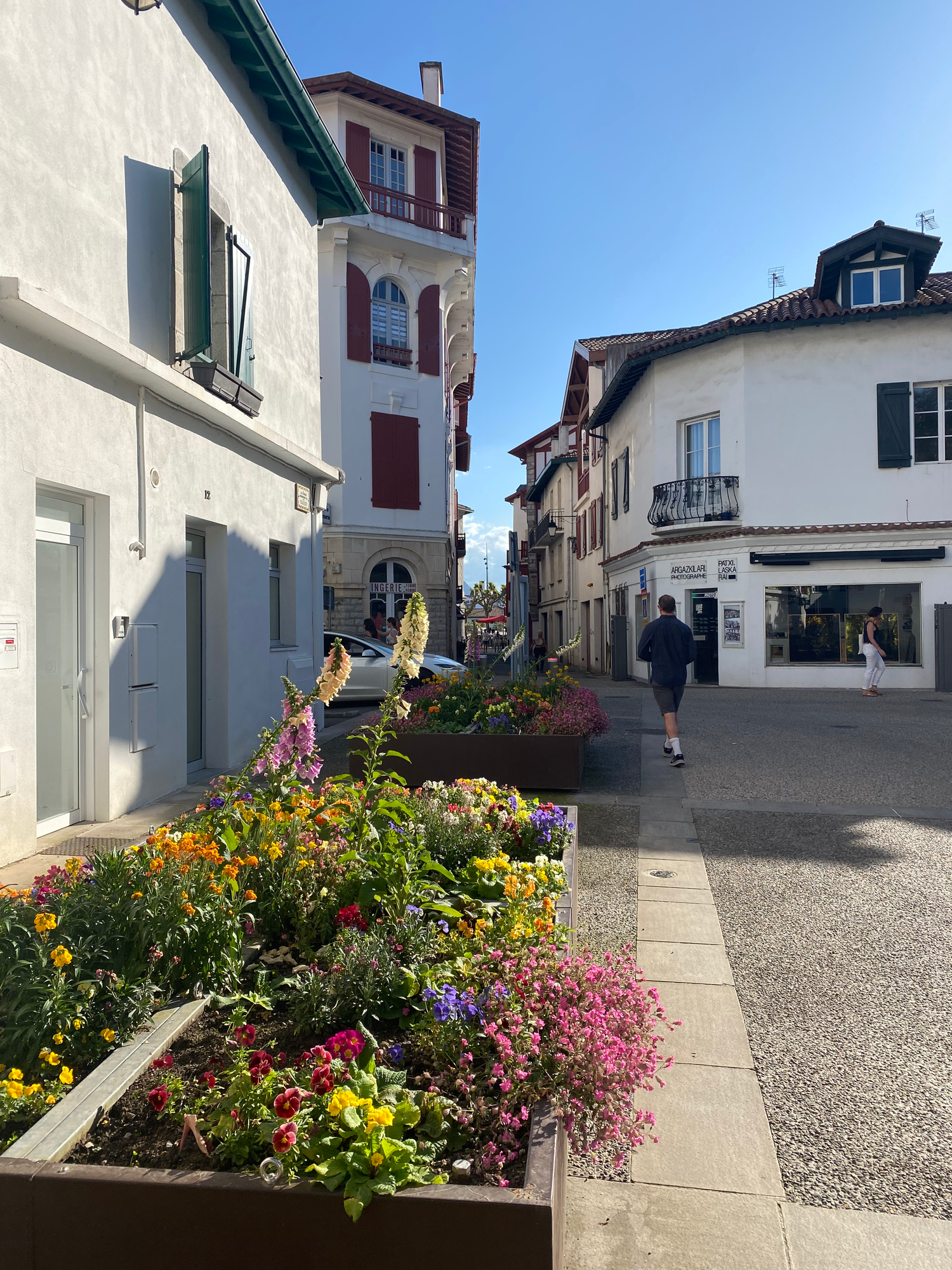 The beauty of imperfection in plant parenthood