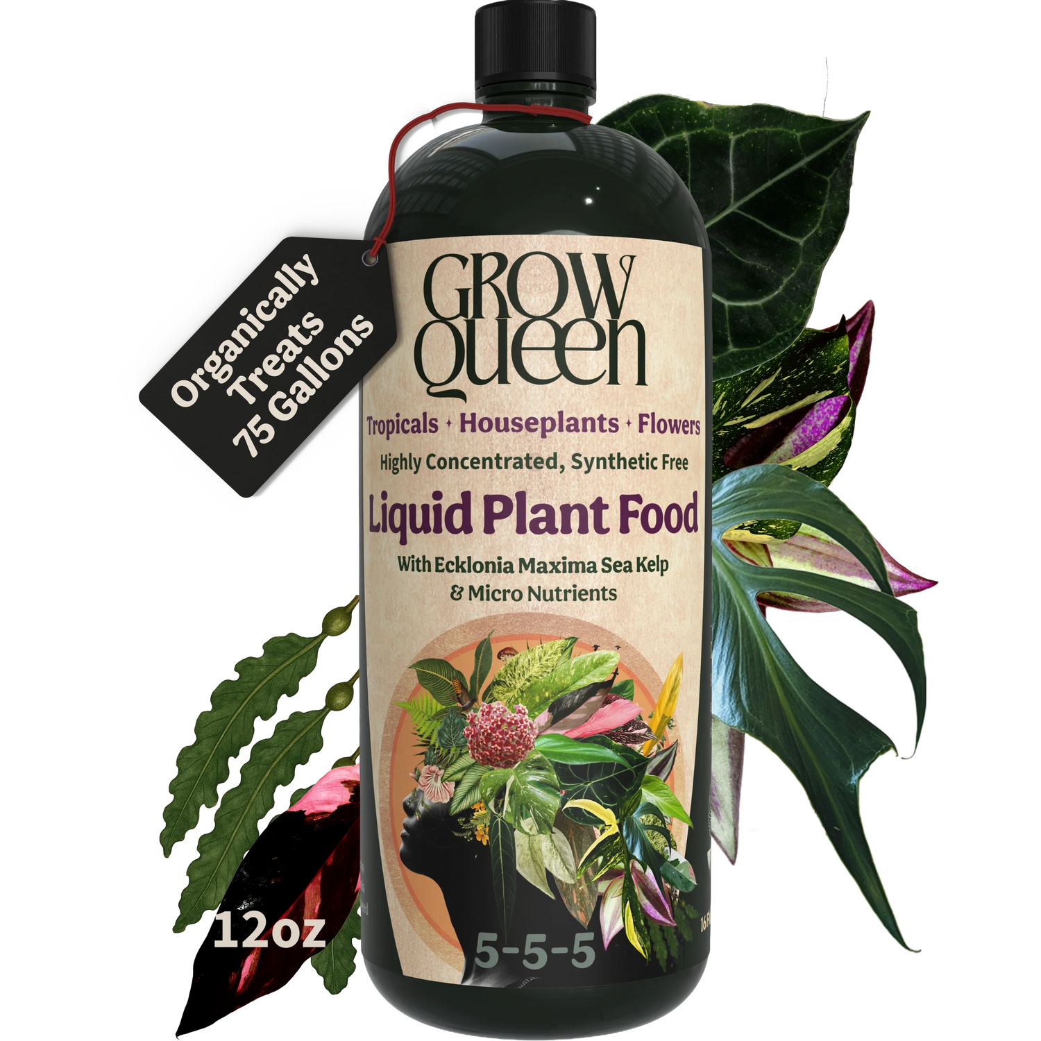 Organic 5-5-5 Liquid Plant Food - 12oz bottle