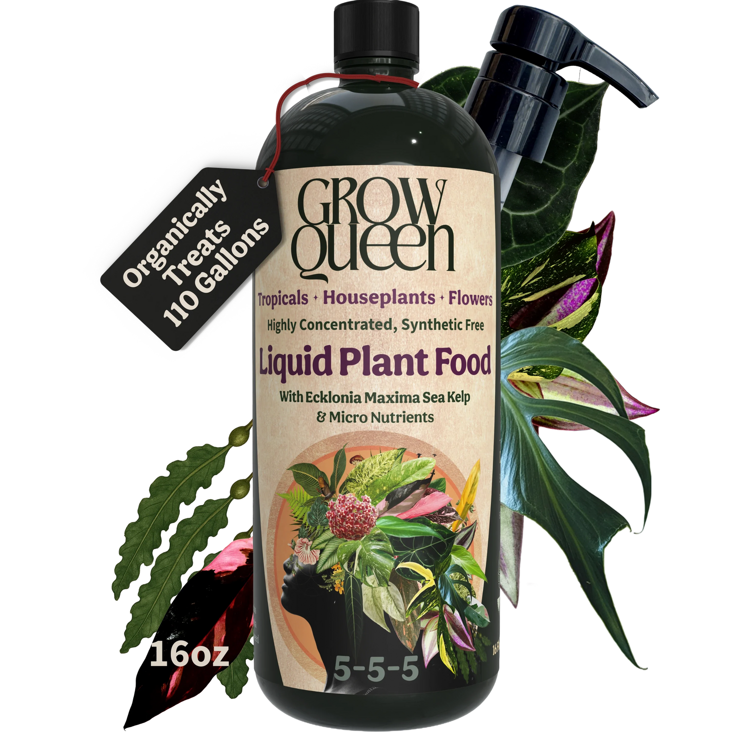 Organic 5-5-5 Liquid Plant Food - 16oz bottle