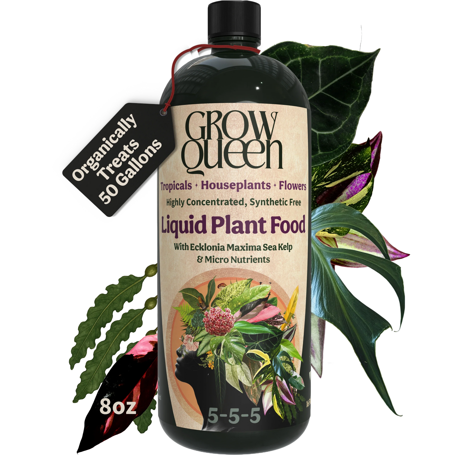 Organic 5-5-5 Liquid Plant Food - 8oz bottle