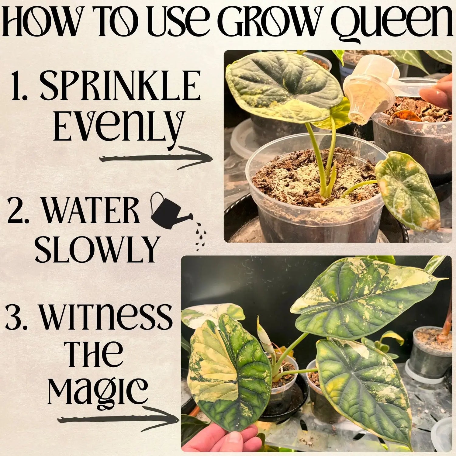 The All-In-One Complete Organic Plant Food Grow Queen