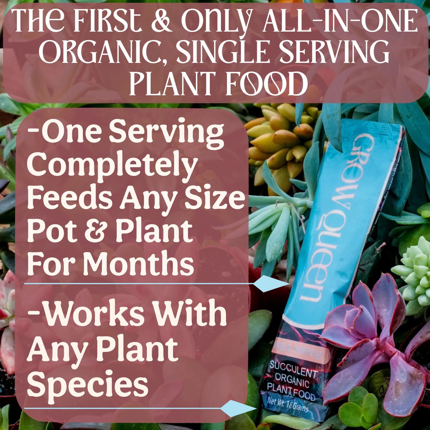 All-In-One Complete Organic Succulent & Cactus Plant Food Grow Queen