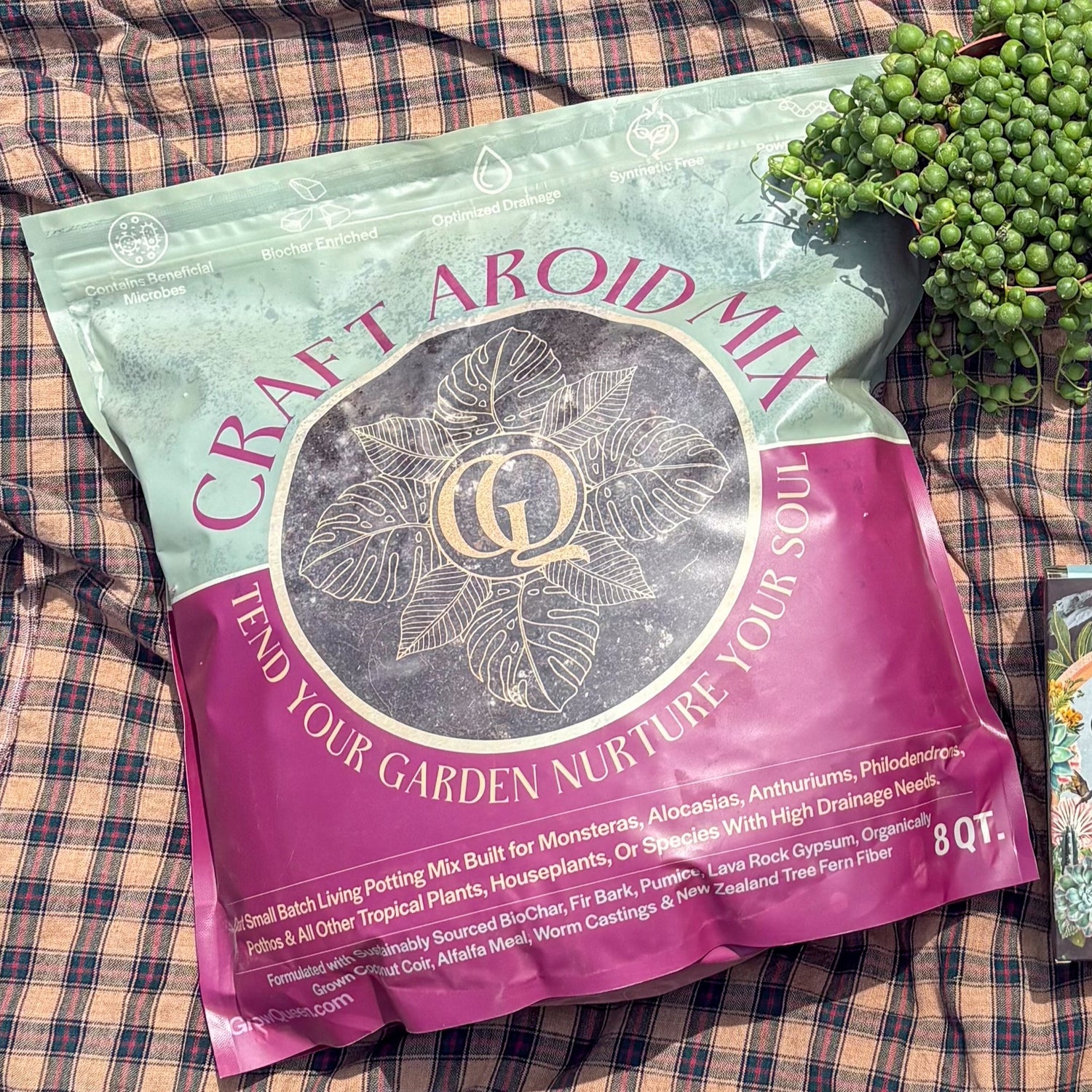 Aroid Soil Grow Queen