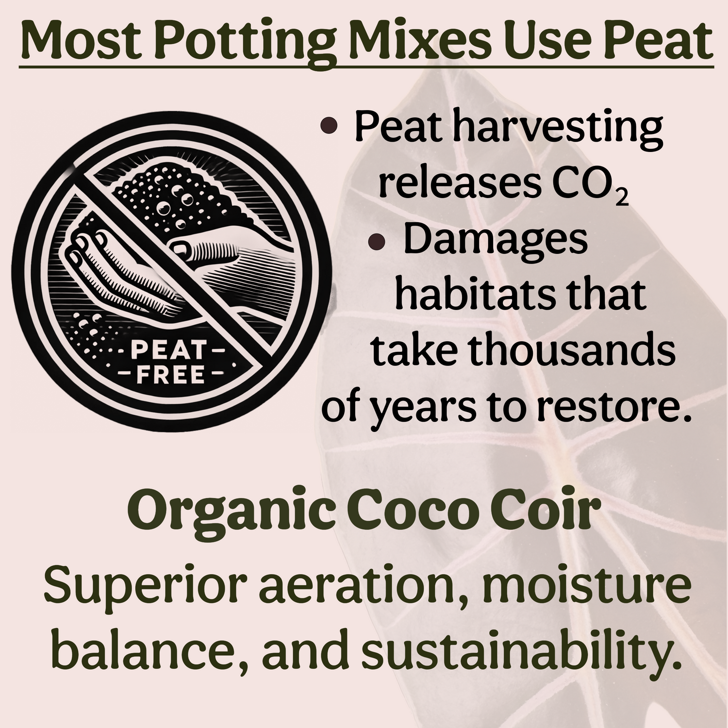 Craft Houseplant Potting Mix