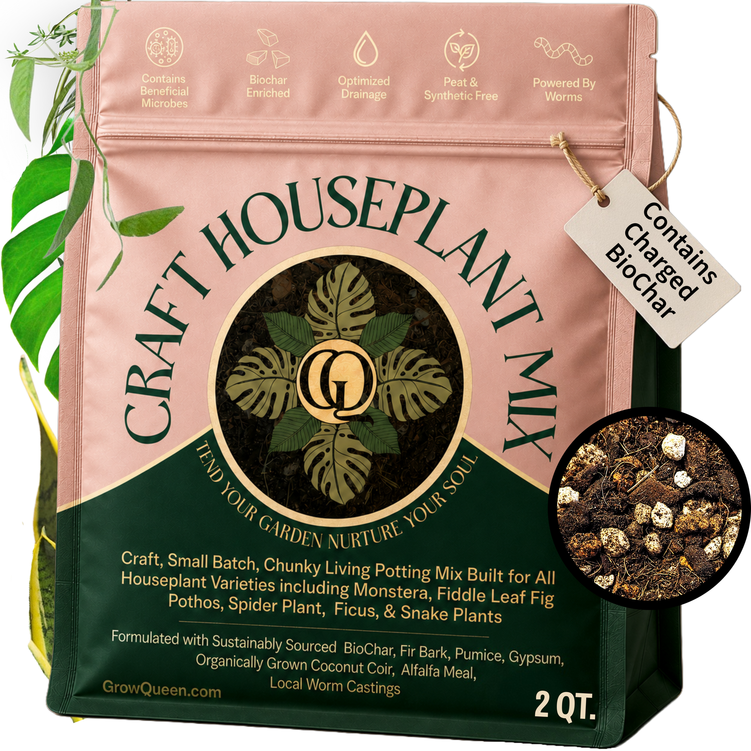 Craft Houseplant Potting Mix