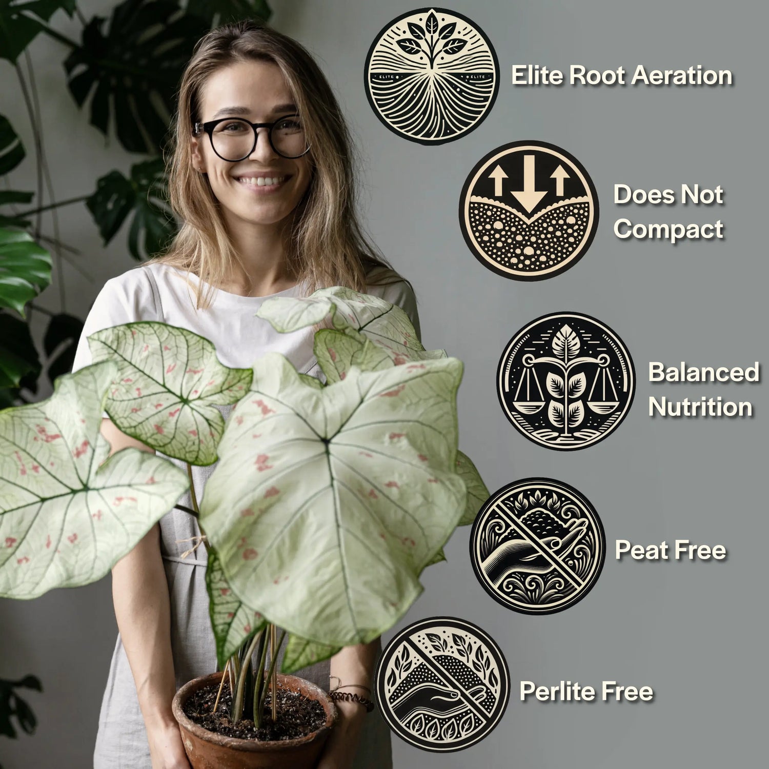 Craft Aroid Potting Mix for Indoor Tropical Plants & Houseplants Grow Queen