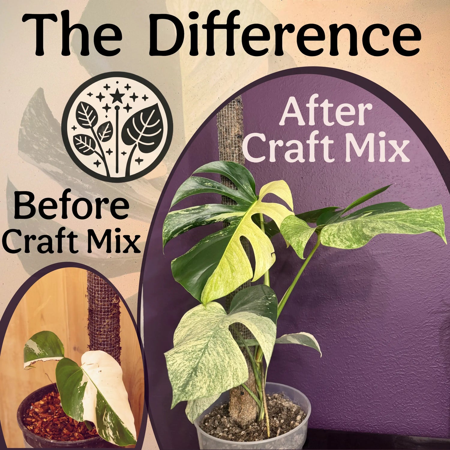 Craft Aroid Potting Mix for Indoor Tropical Plants & Houseplants Grow Queen