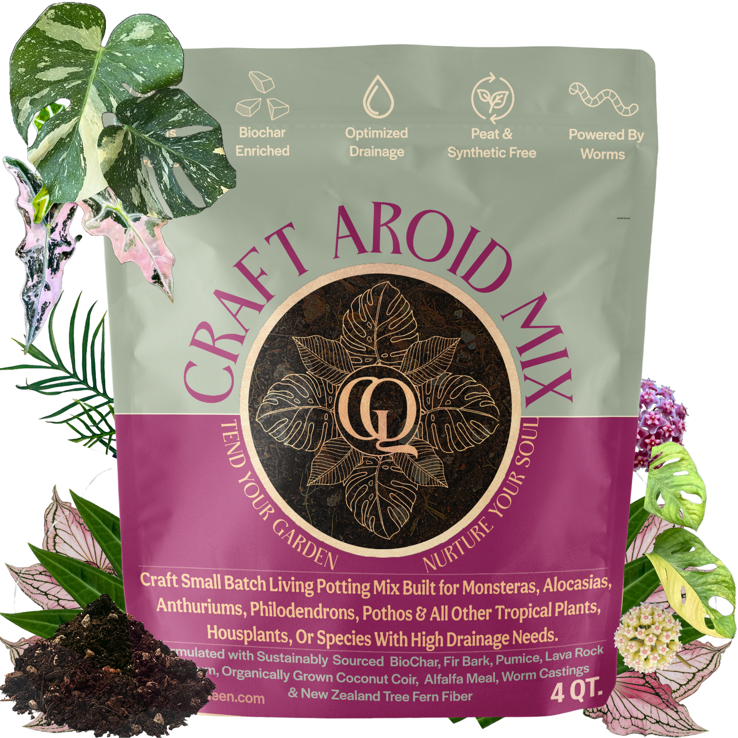 Craft Aroid Potting Mix for Indoor Tropical Plants & Houseplants Grow Queen