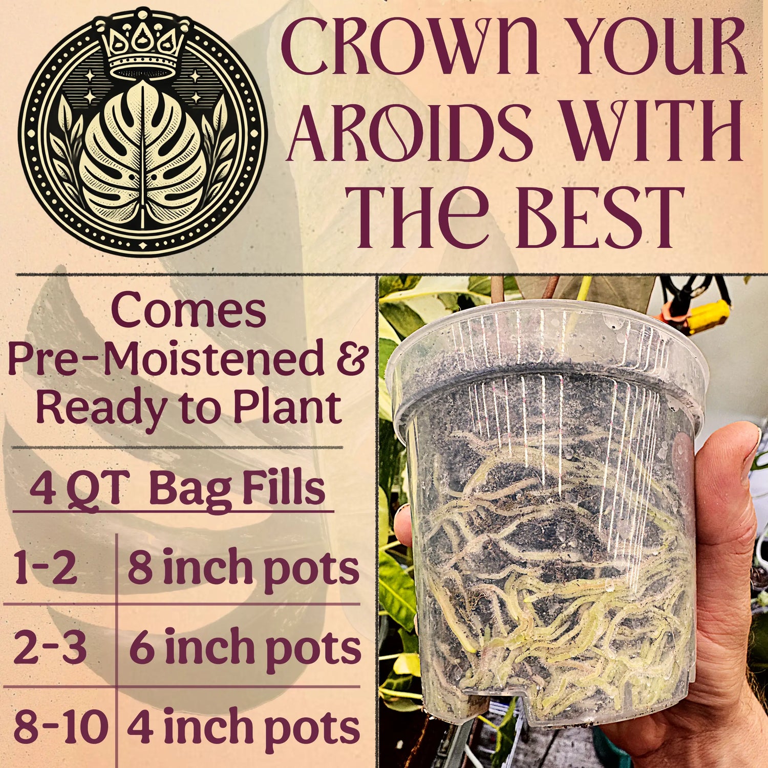 Craft Aroid Potting Mix for Indoor Tropical Plants & Houseplants Grow Queen