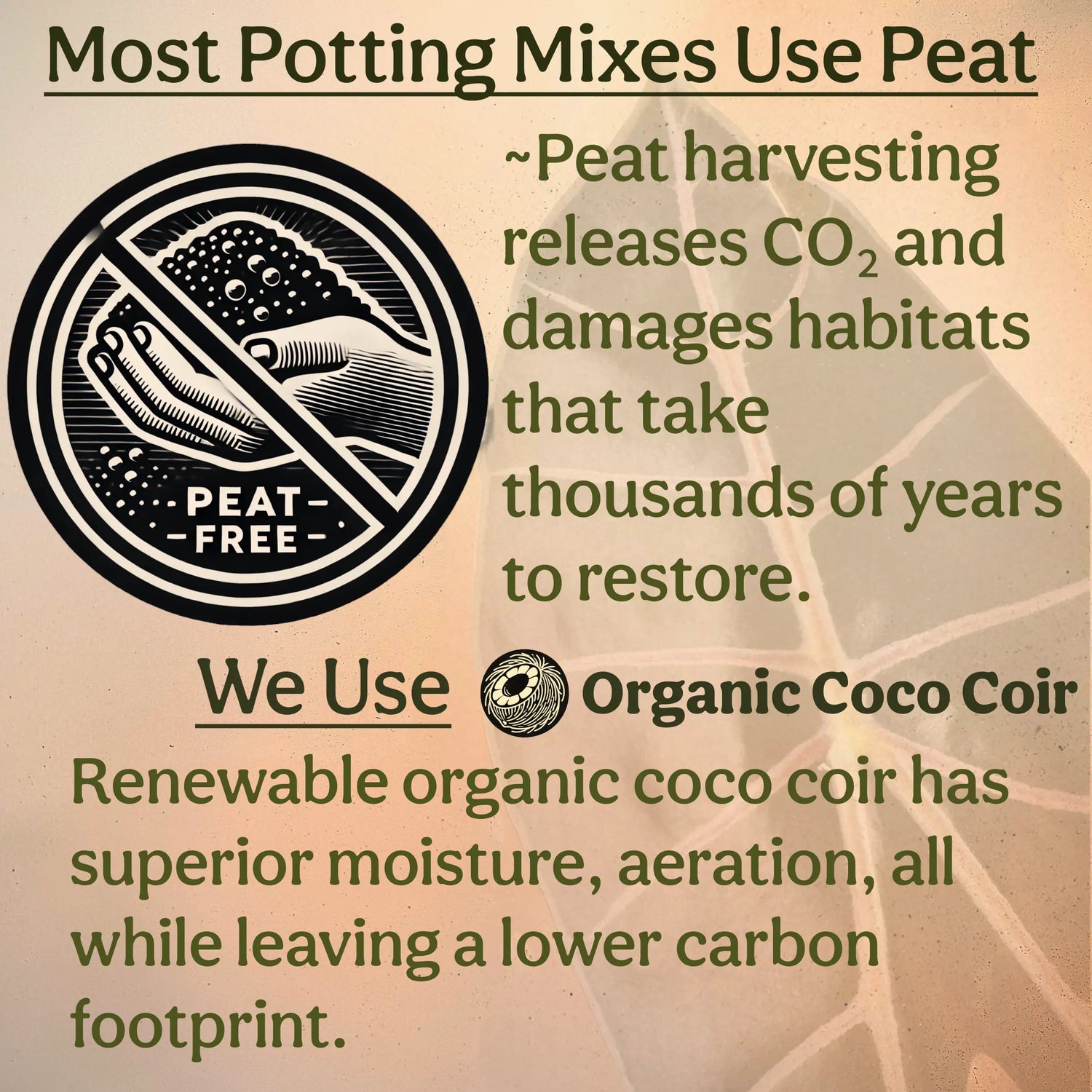 Craft Aroid Potting Mix for Indoor Tropical Plants & Houseplants Grow Queen