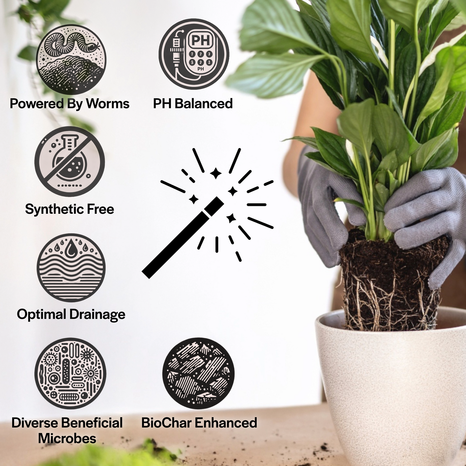 Craft Houseplant Potting Mix