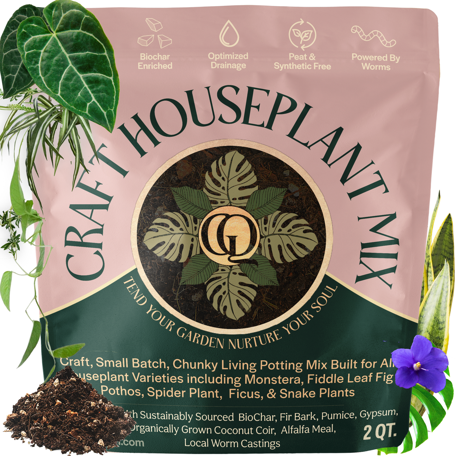 Craft Houseplant Potting Mix