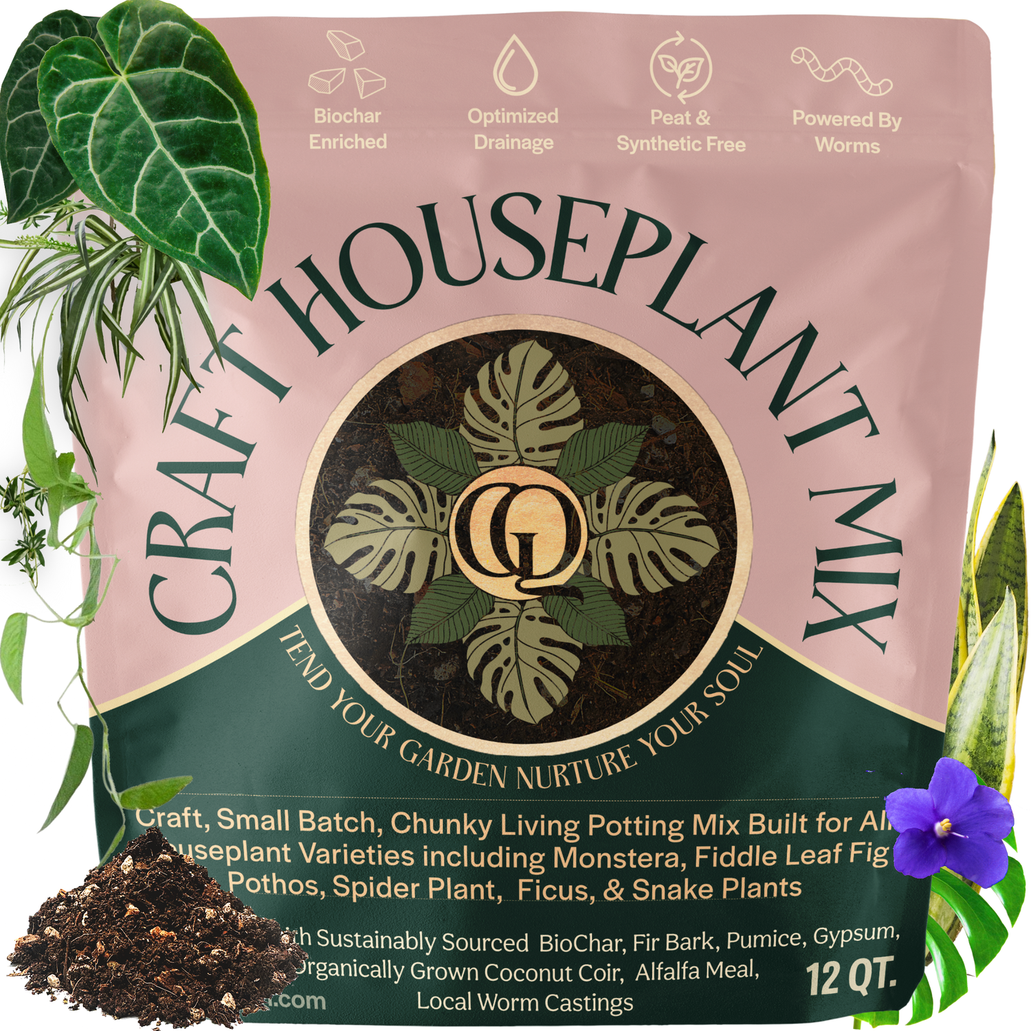 Craft Houseplant Potting Mix
