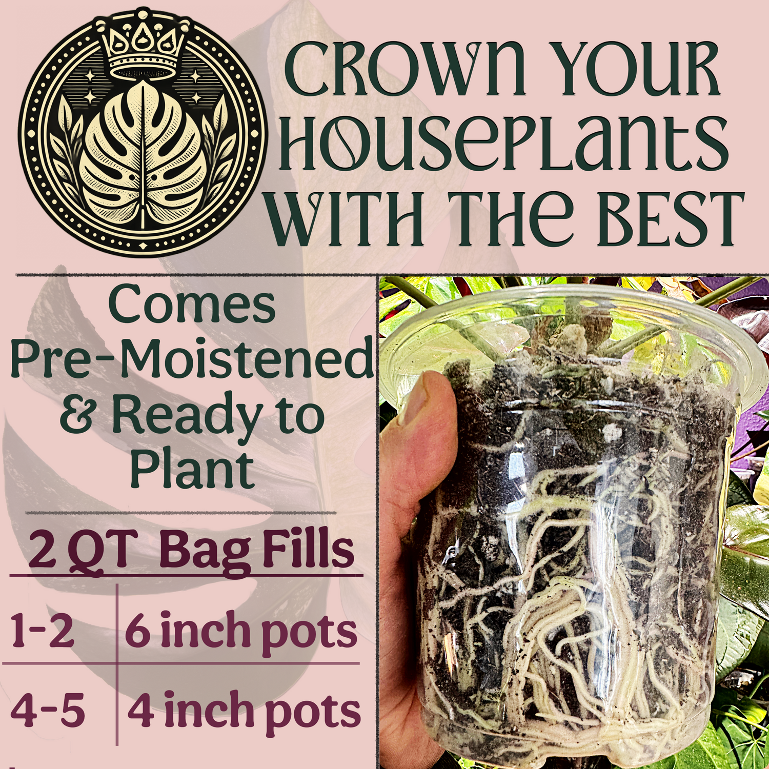 Craft Houseplant Potting Mix