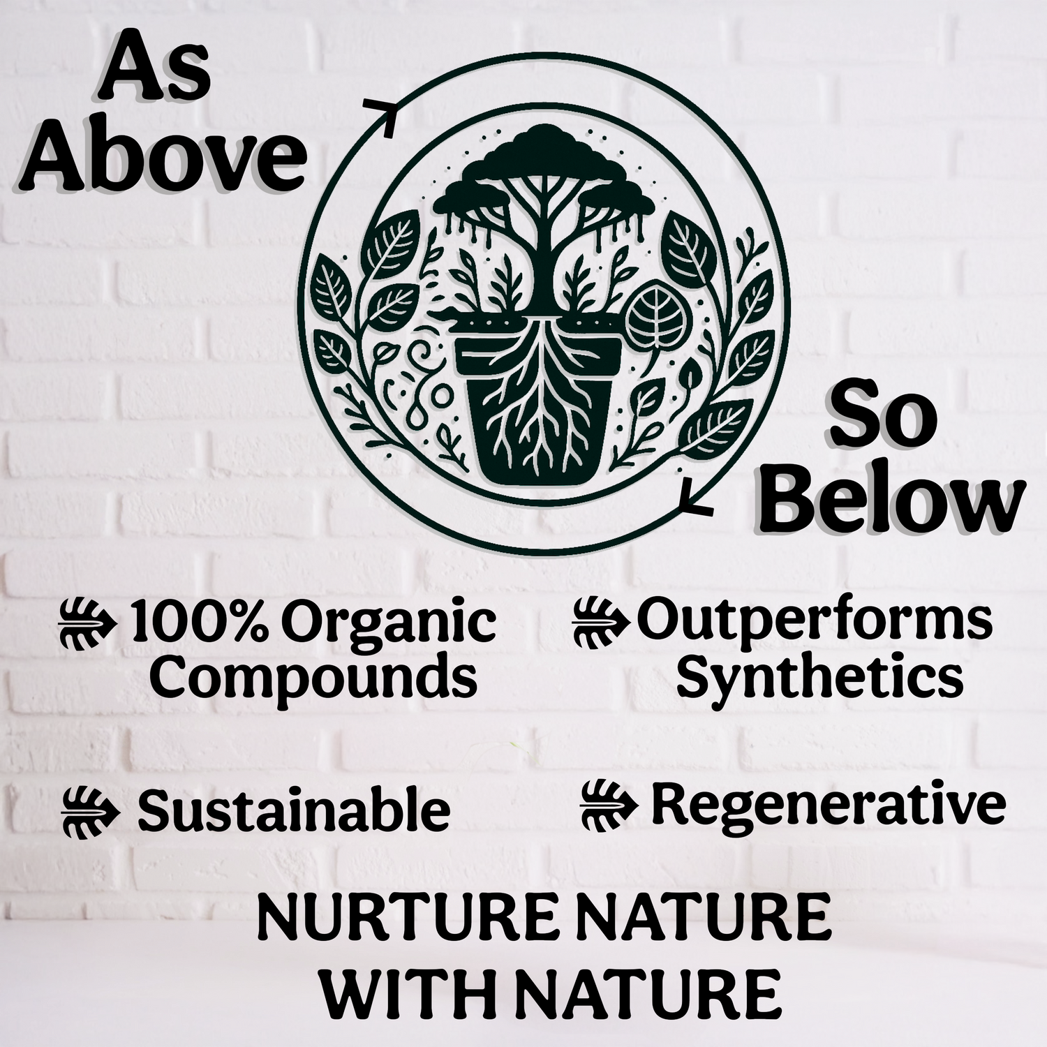 Organic 5-5-5 Liquid Plant Food