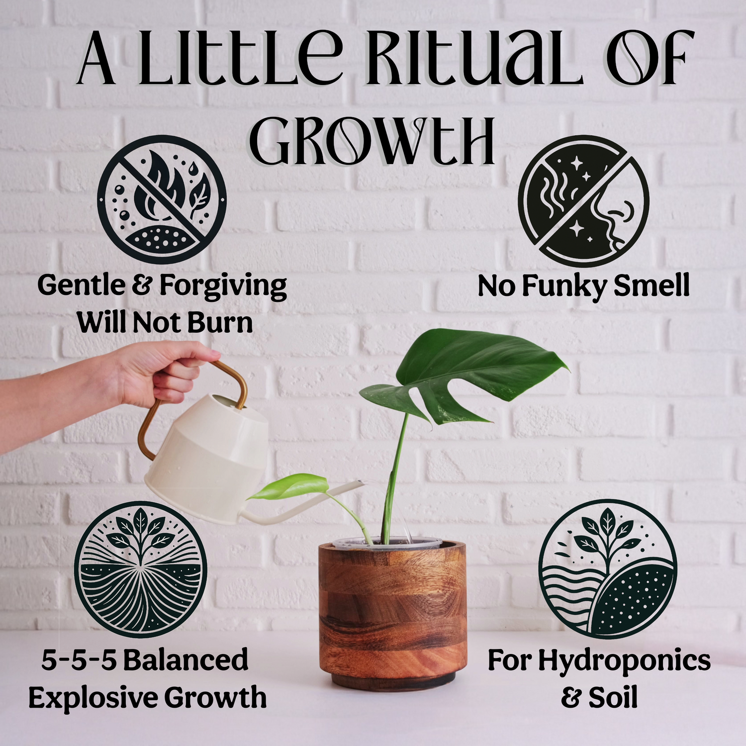 Organic 5-5-5 Liquid Plant Food