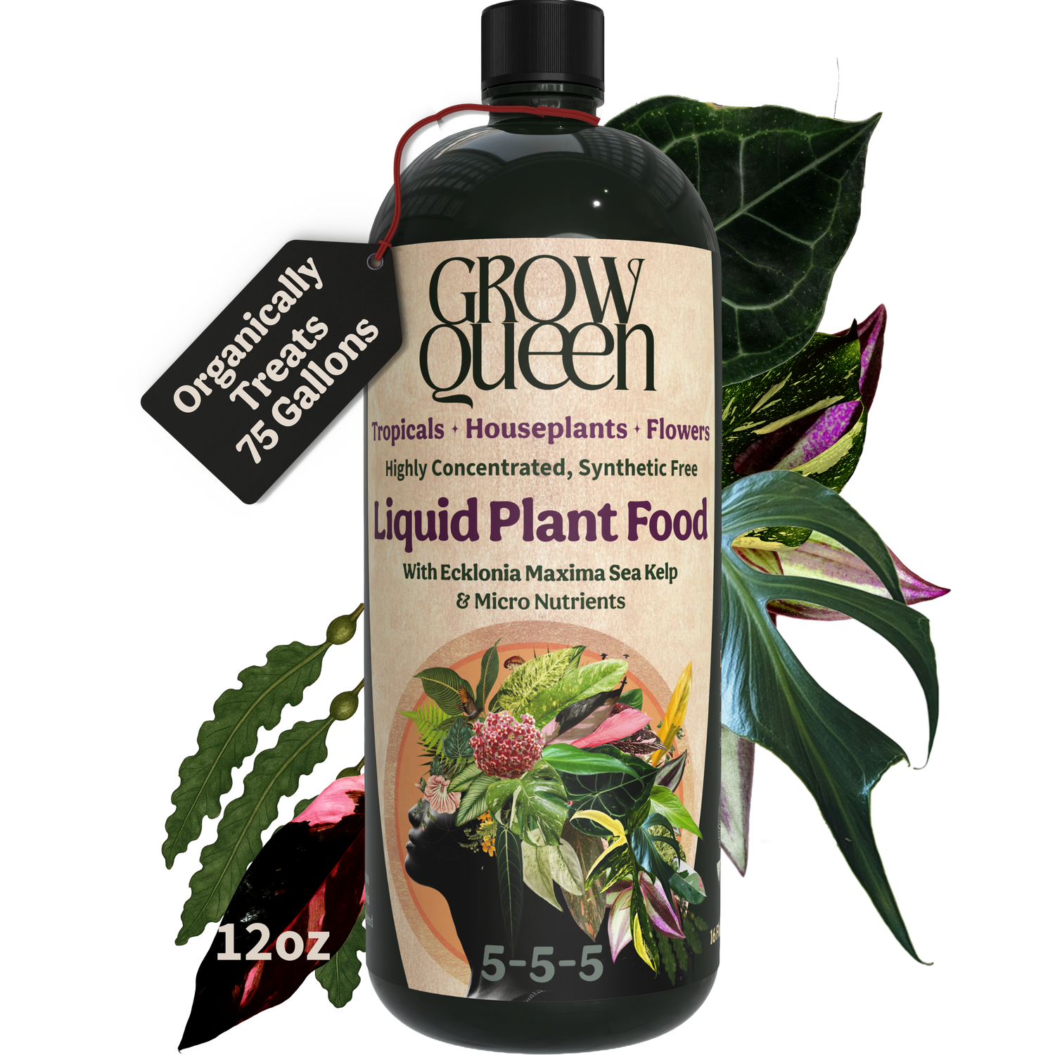 Organic 5-5-5 Liquid Plant Food