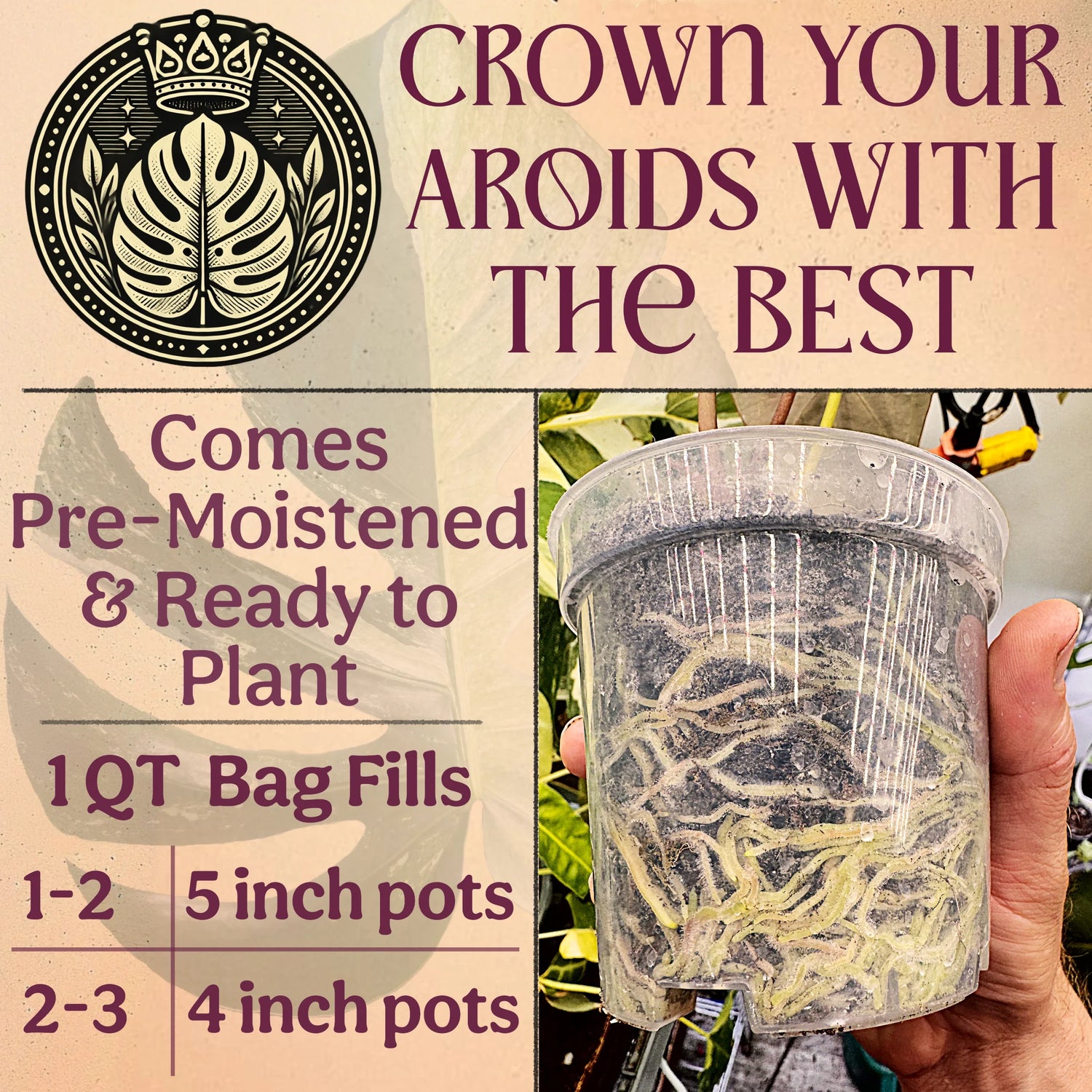 Crown Your Aroids With The Best - Comes Pre-Moistened & Ready to Plant
