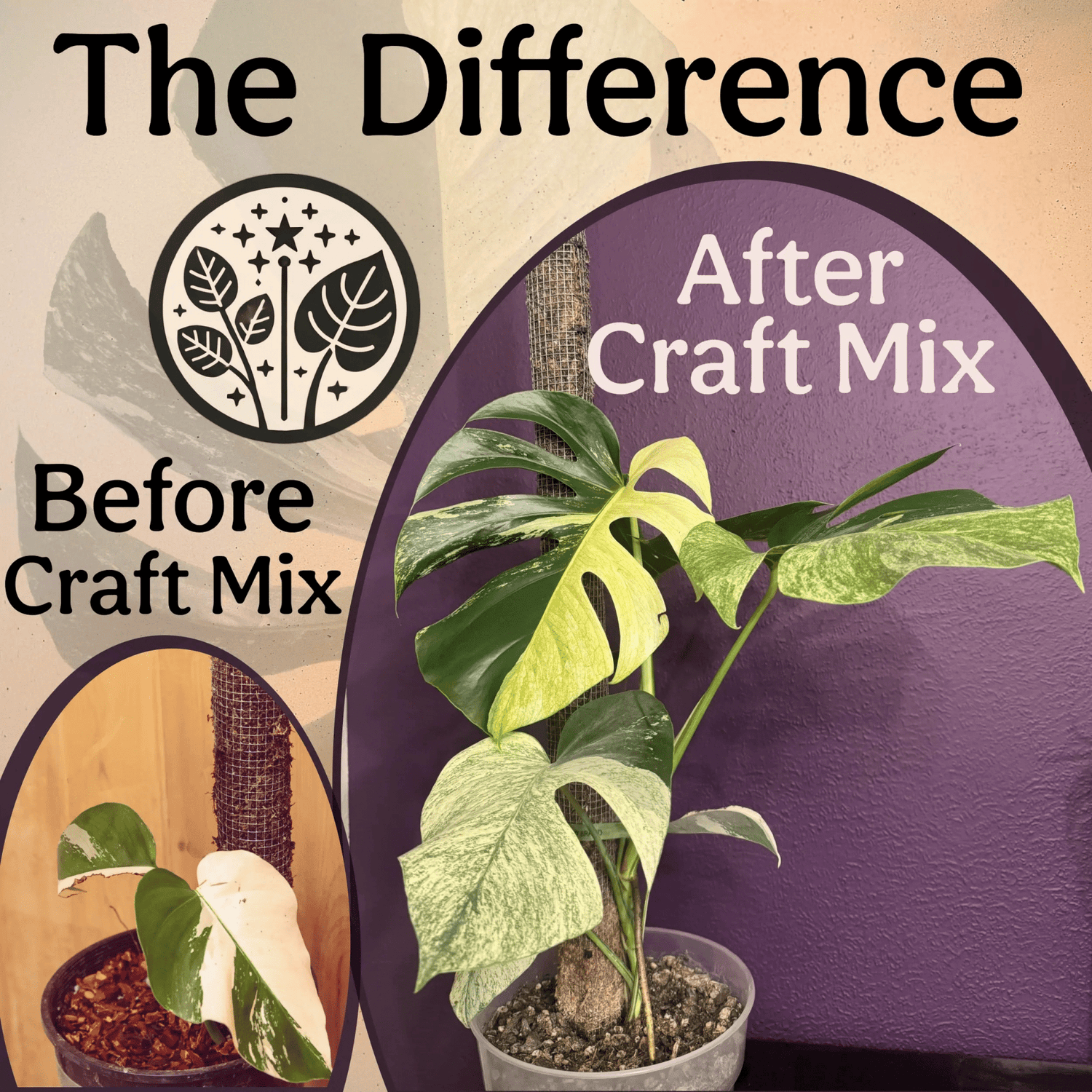 Craft Aroid Potting Mix - Grow Queen