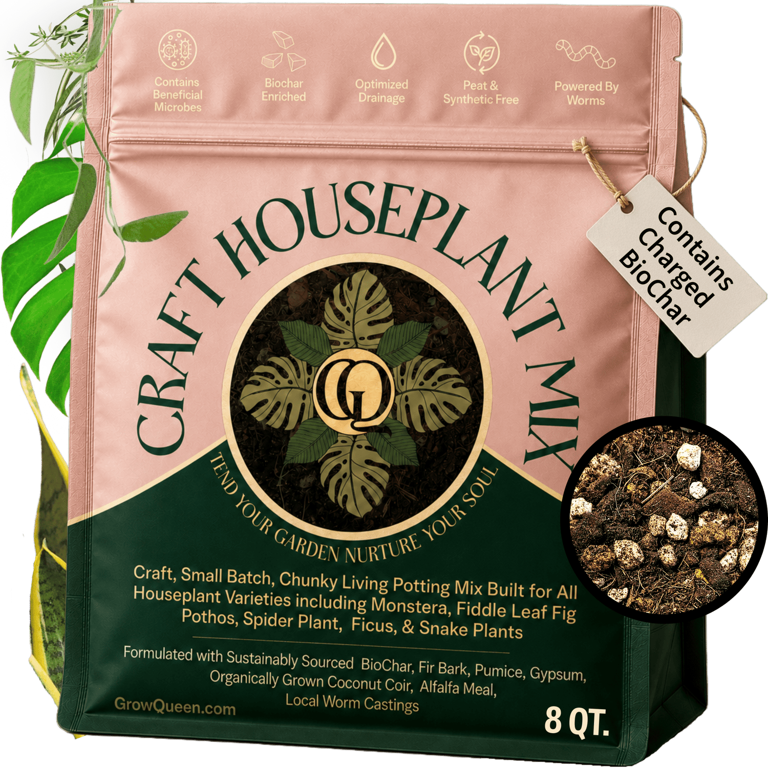 Craft Houseplant Potting Mix - Grow Queen
