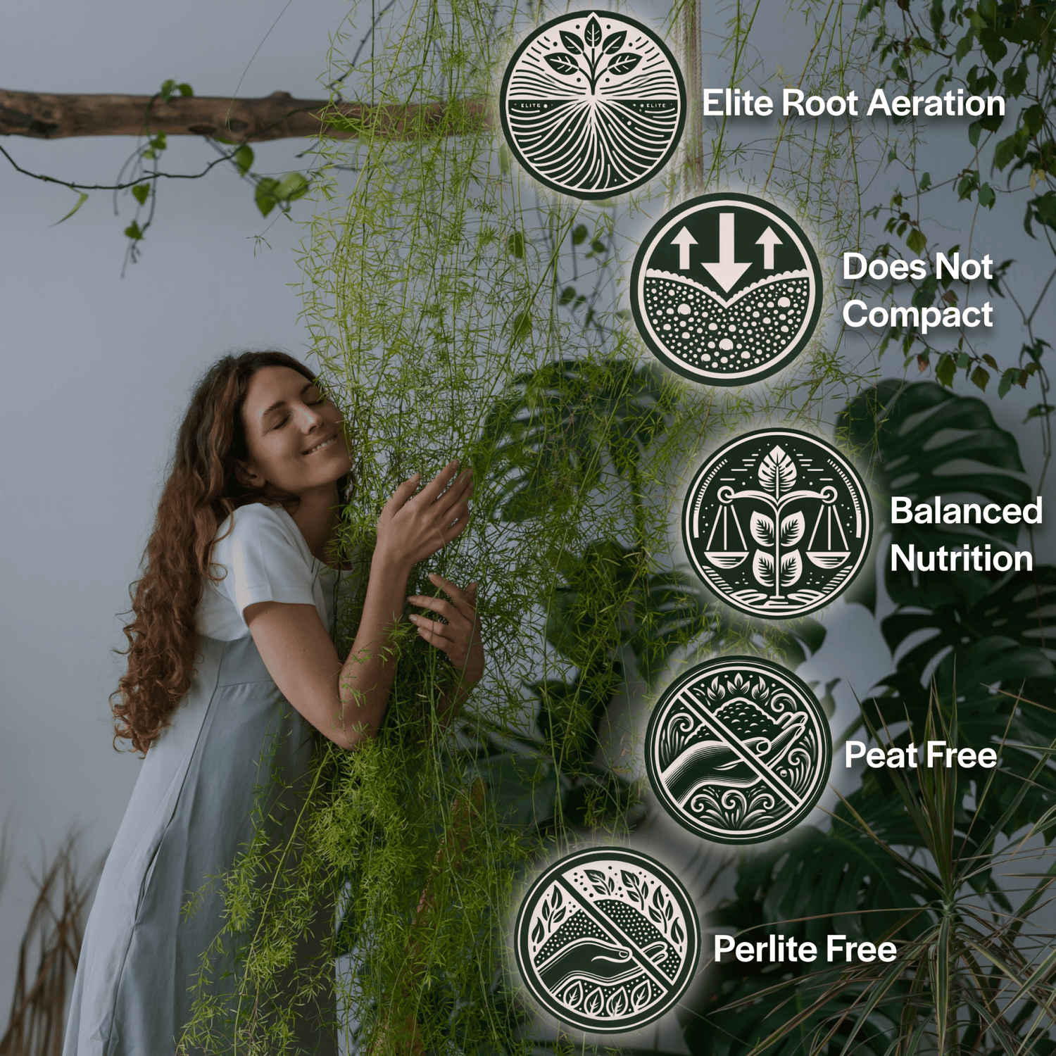 Craft Houseplant Potting Mix - Grow Queen