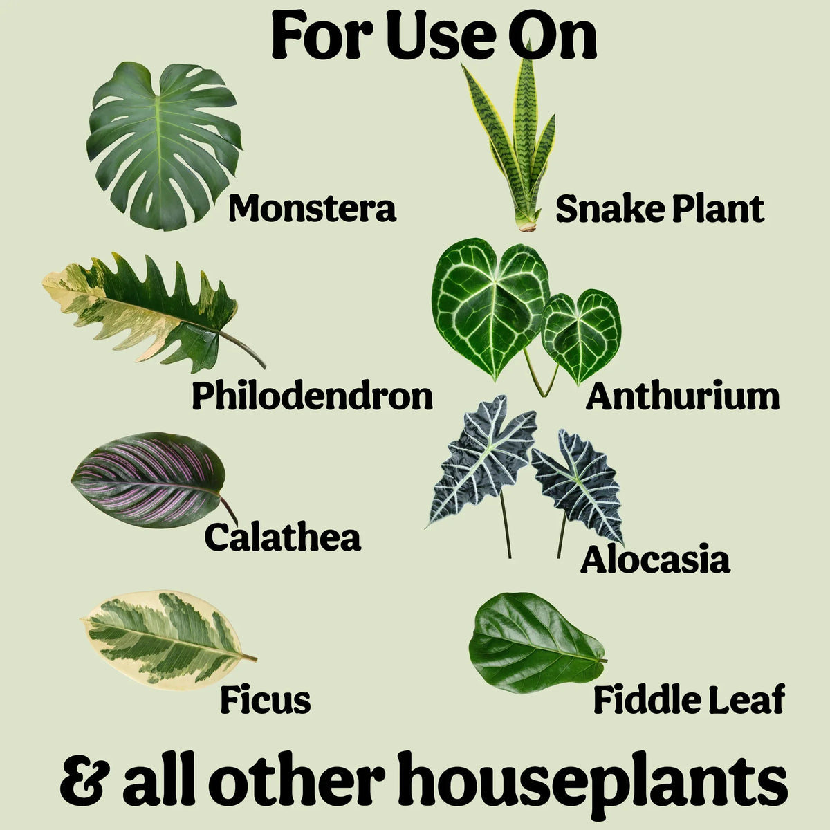 For use on monstera, snake plant, philodendron, anthurium, calathea, alocasia, ficus, fiddle leaf and other houseplants