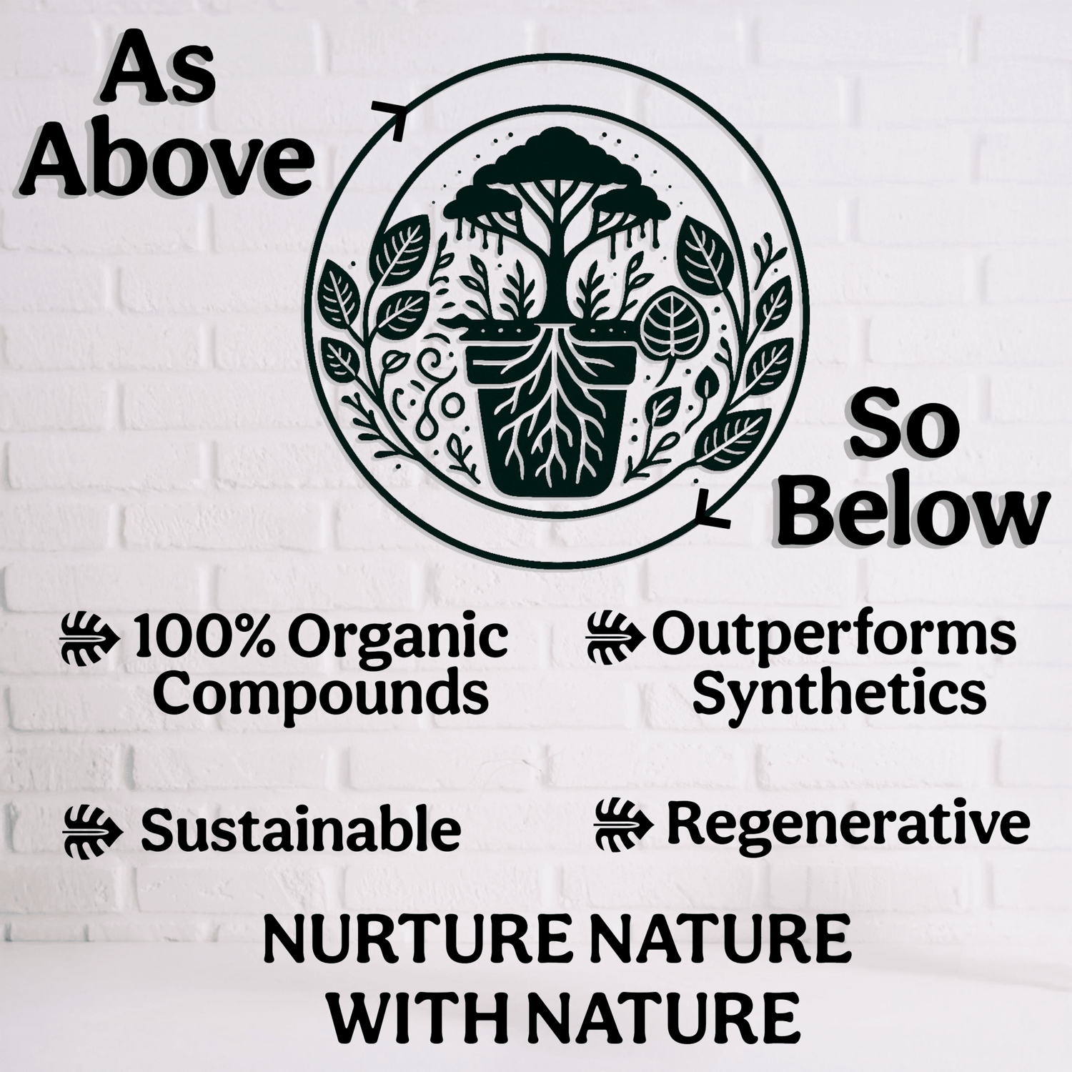 Organic 5-5-5 Liquid Plant Food