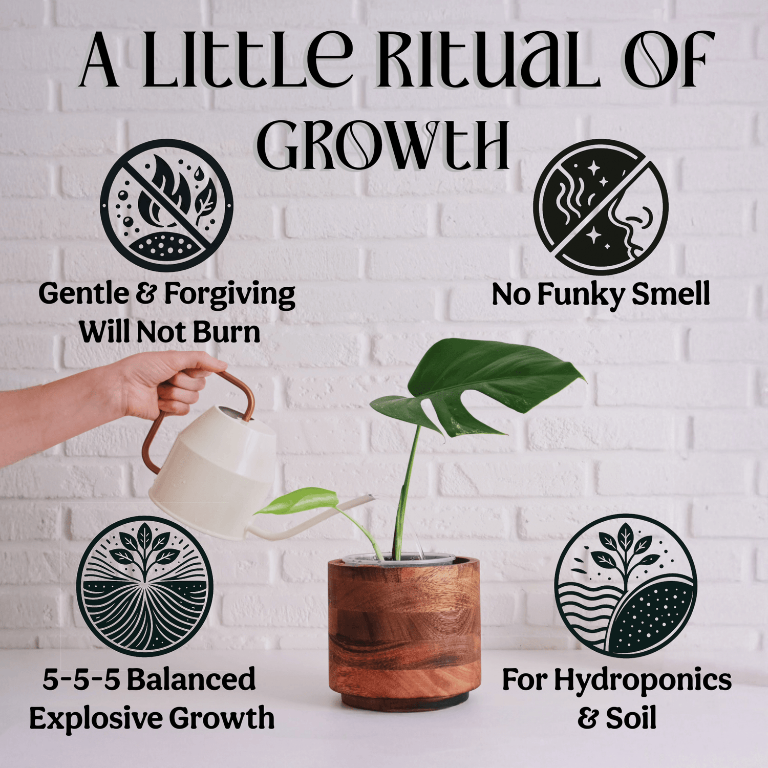 Organic 5-5-5 Liquid Plant Food