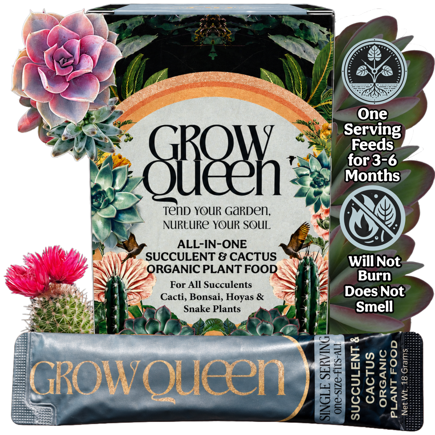 Organic Succulent & Cactus Plant Food - Grow Queen