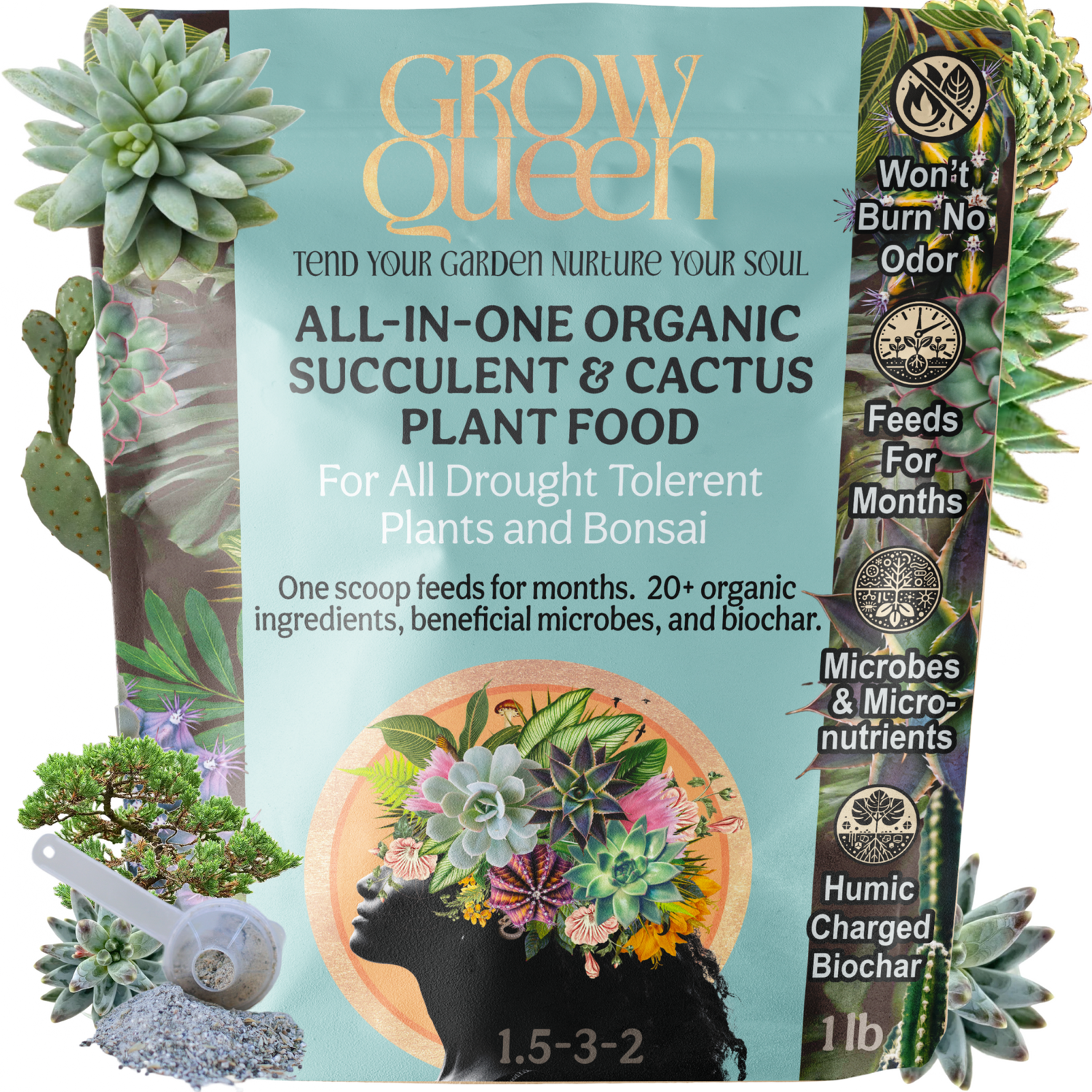Organic Succulent & Cactus Plant Food - Grow Queen