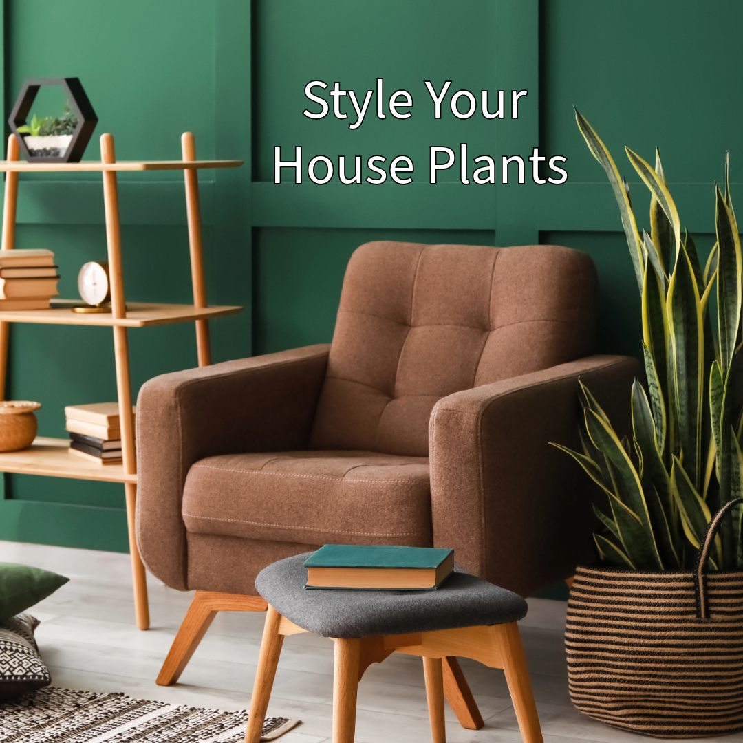 Craft Aroid Potting Mix for Indoor Tropical Plants & Houseplants