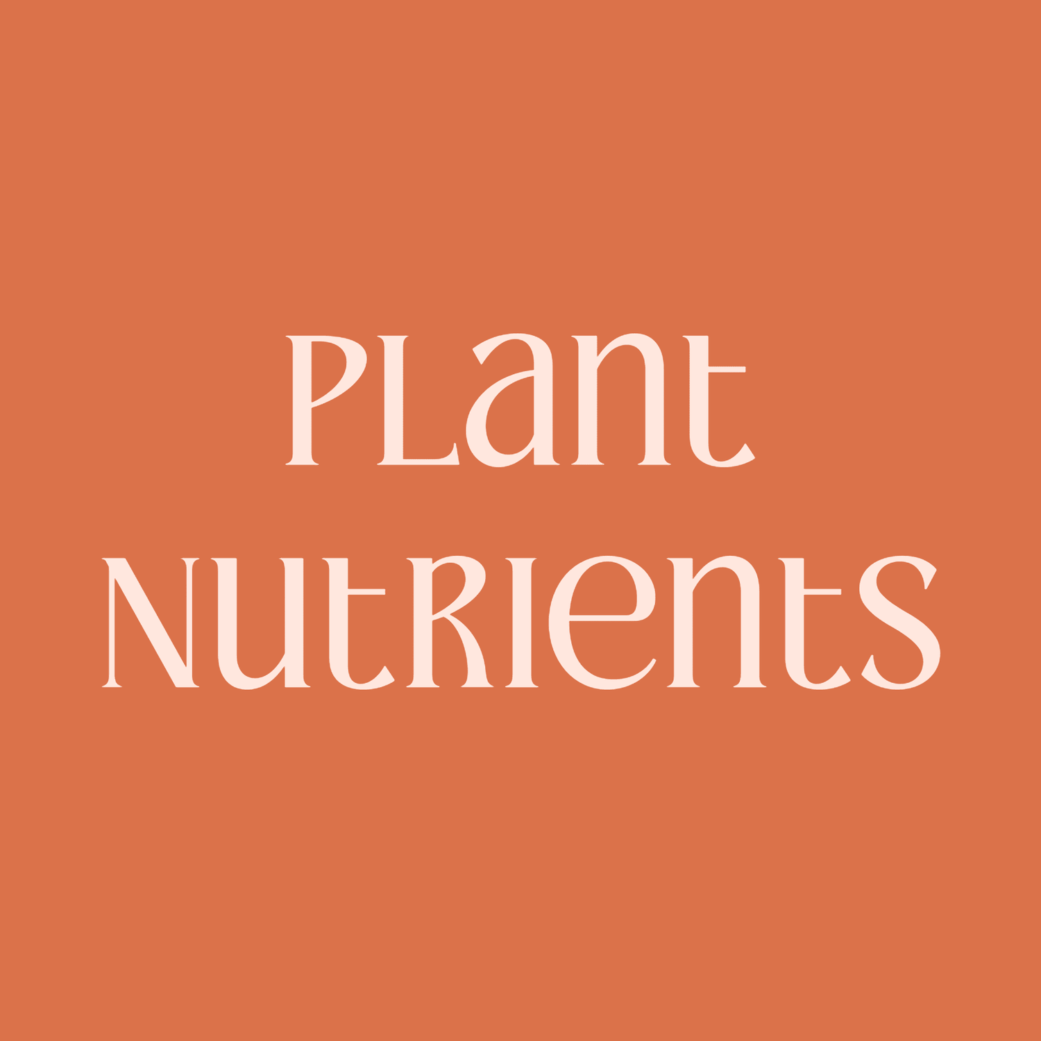 5 Pillars Of Plant Care: Plant Nutrients - Grow Queen