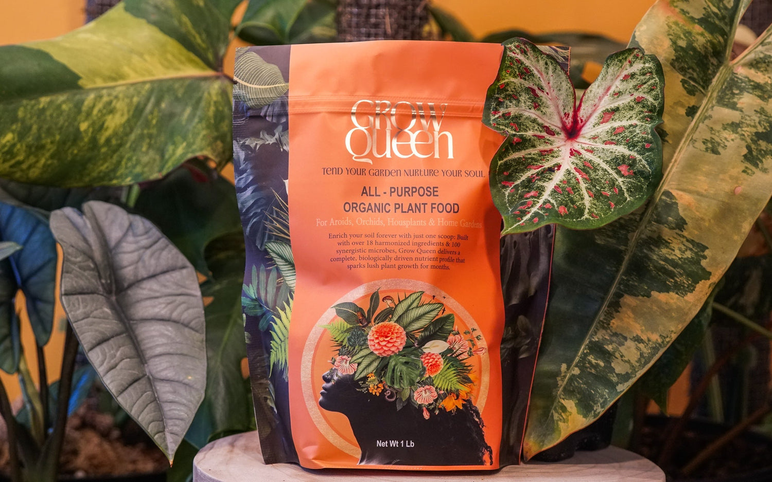 Grow Queens Ultimate Plant Care Guide