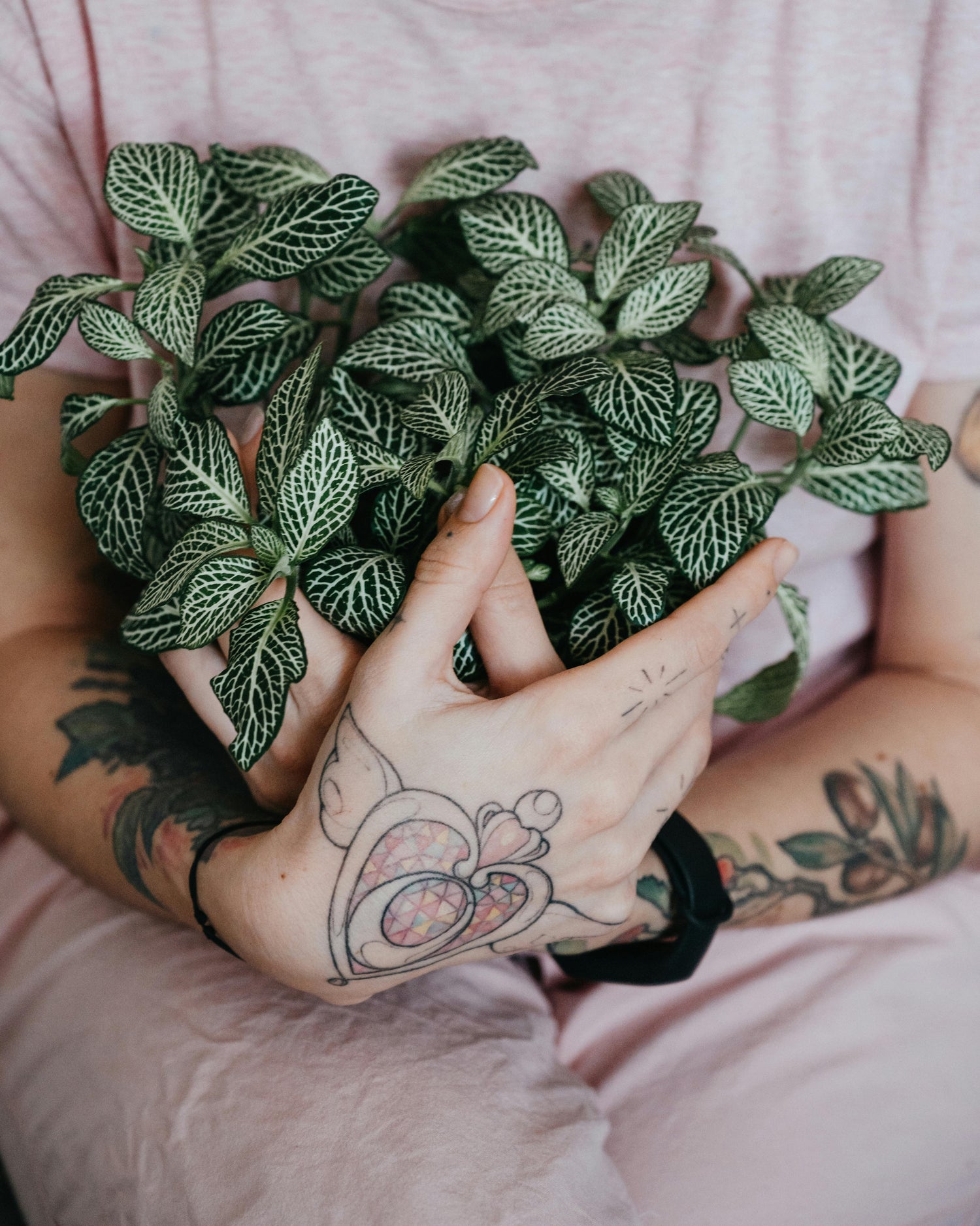 A Plant Lover’s Valentine’s Gift Guide - Grow Queen