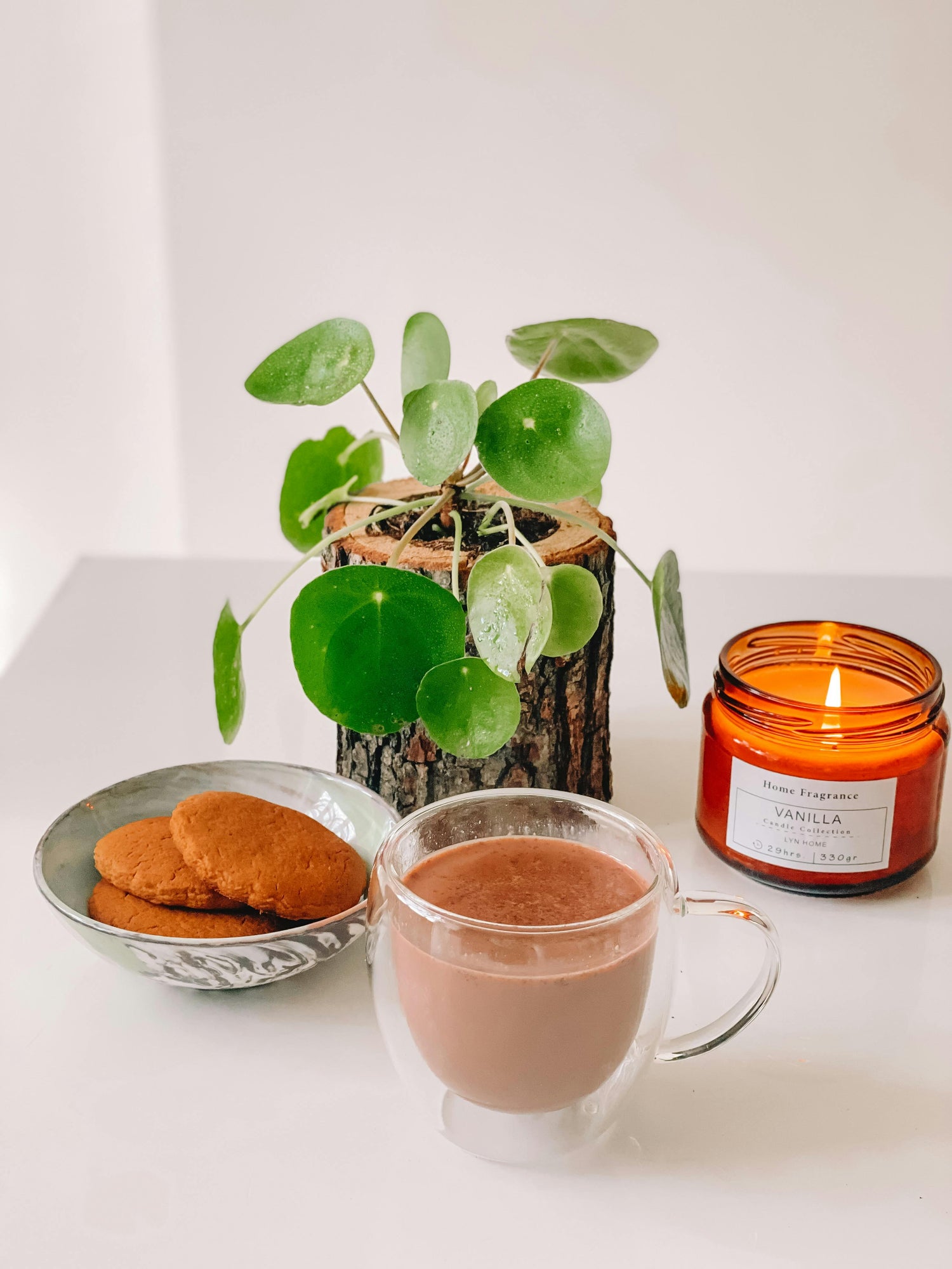 4 Plants You Can Propagate as Heartfelt Holiday Gifts 🎁🌿