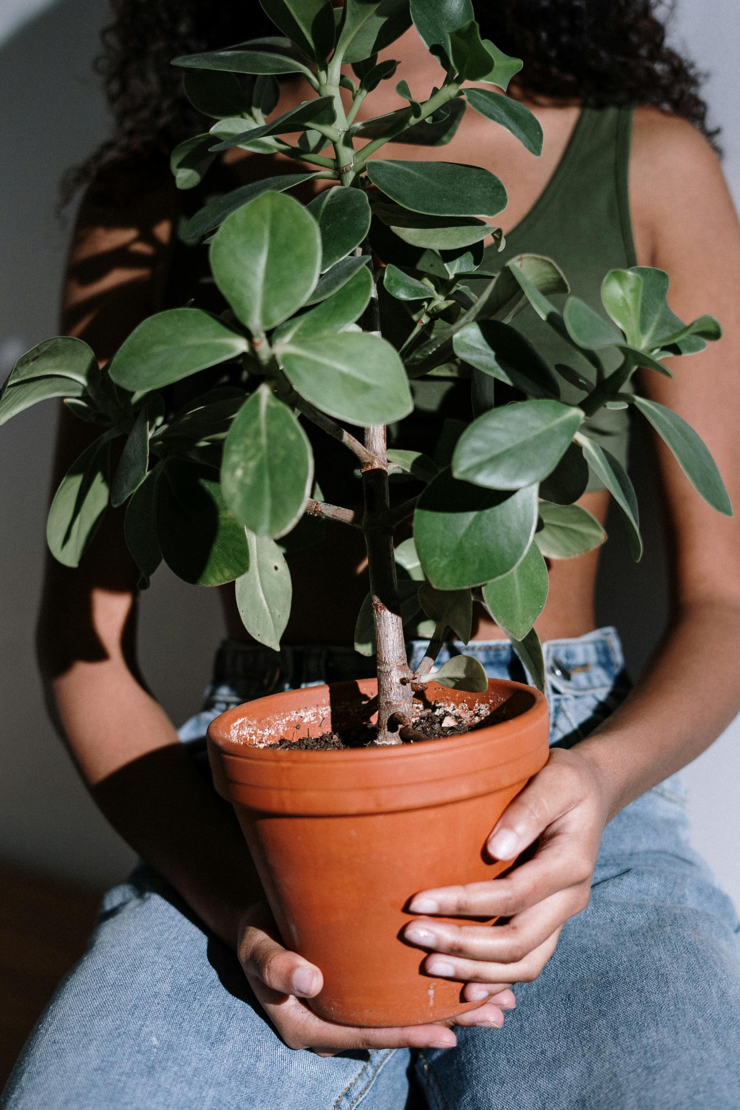 Does pot size really matter when repotting my houseplant?
