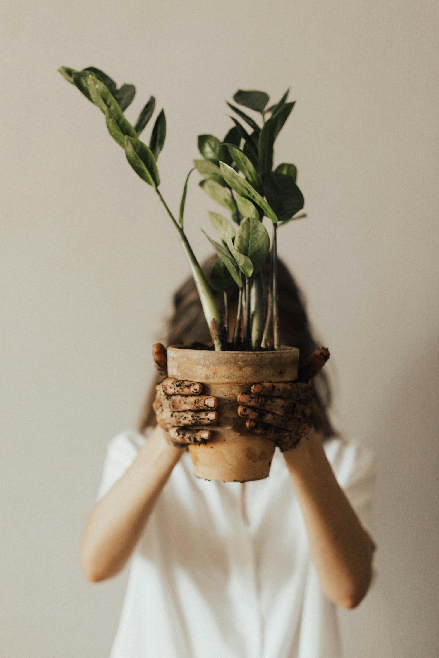 Root Health & Repotting