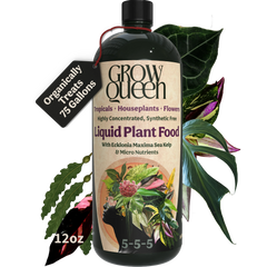 Organic 5-5-5 Liquid Plant Food - 12oz bottle