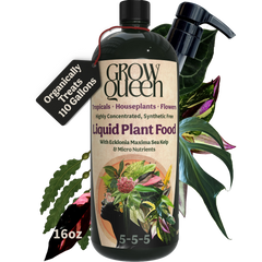Organic 5-5-5 Liquid Plant Food - 16oz bottle