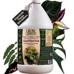 Organic 5-5-5 Liquid Plant Food - 1 gallon bottle