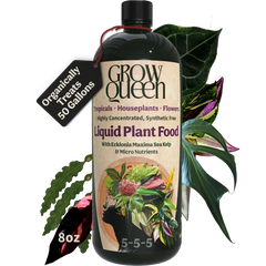 Organic 5-5-5 Liquid Plant Food - 8oz bottle