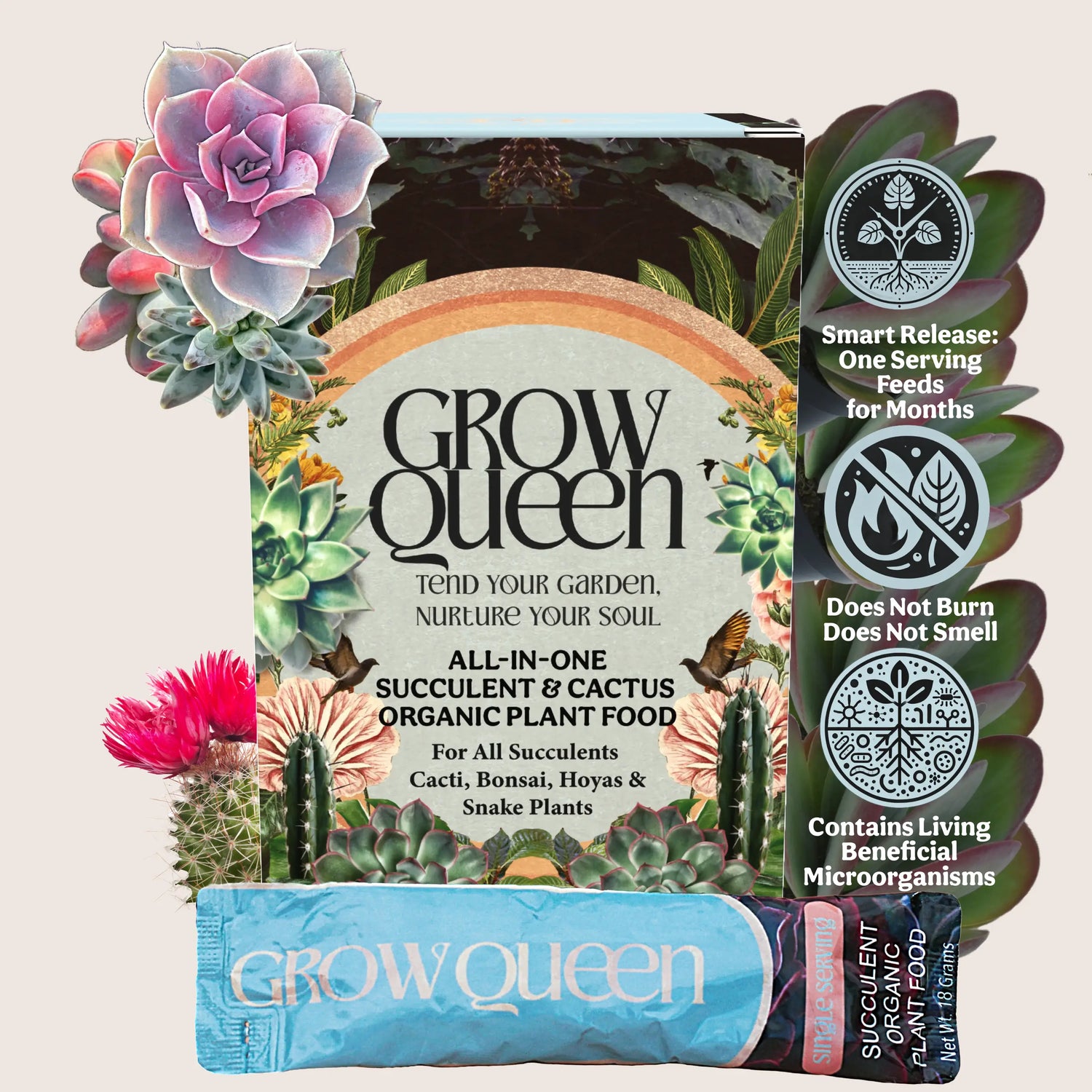 All-In-One Complete Organic Succulent & Cactus Plant Food Box Of Single Serving Packets Grow Queen