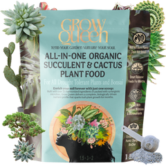 whole foods succulents All-In-One Complete Organic Succulent & Cactus Plant Food – Grow Queen