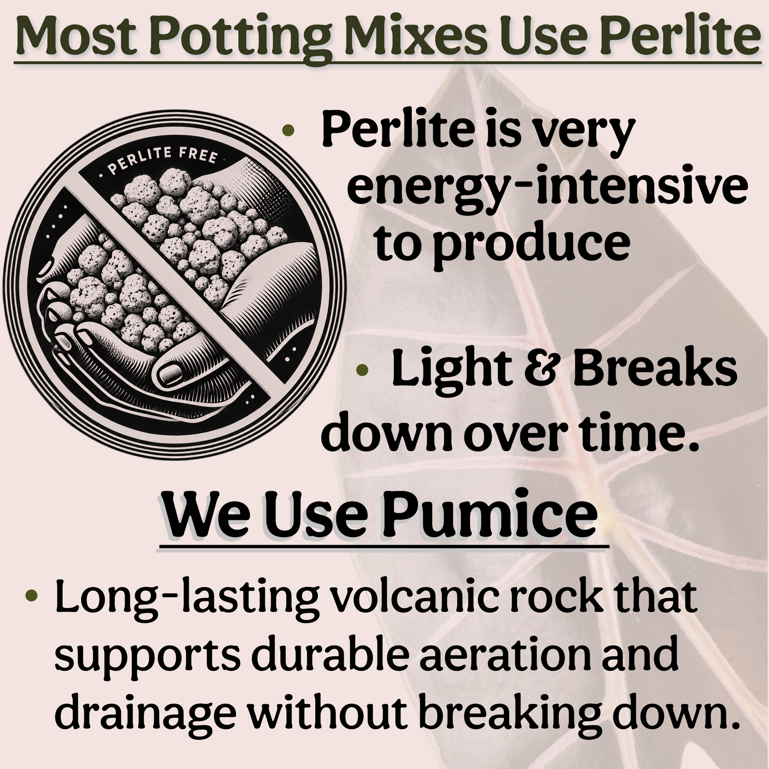 Craft Houseplant Potting Mix