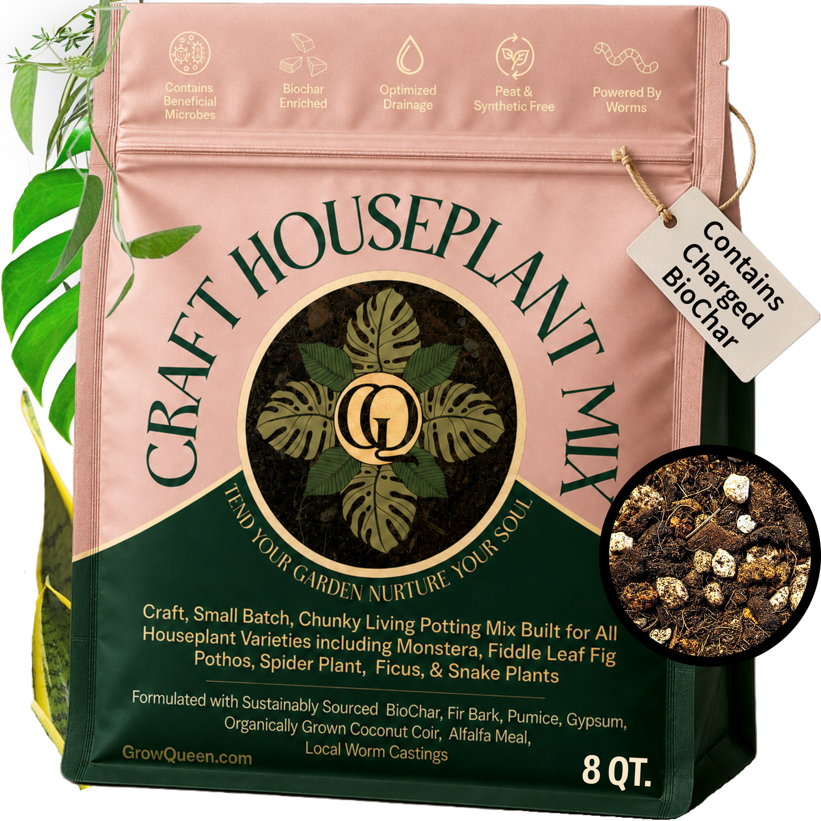 Craft Houseplant Potting Mix