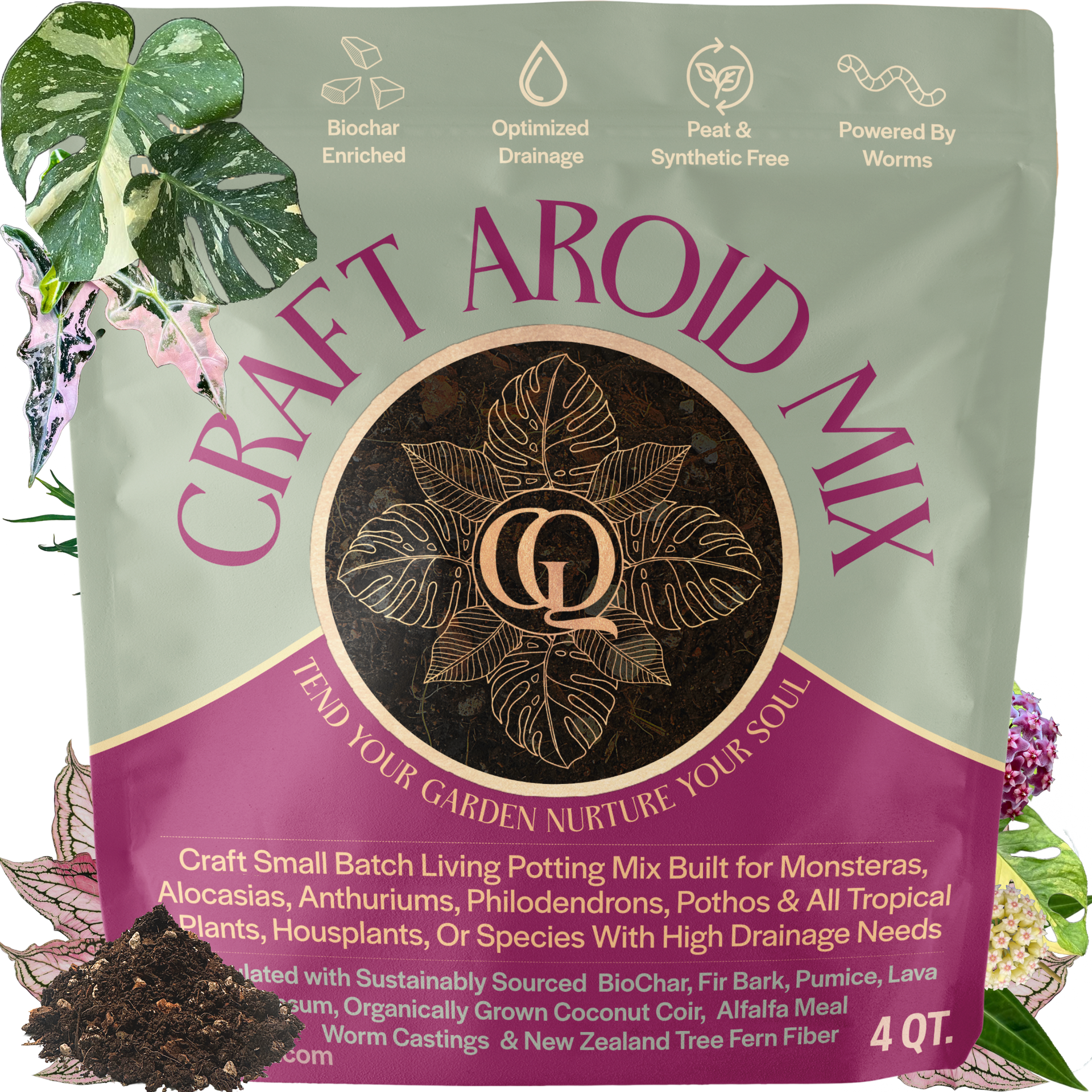 Craft Aroid Potting Mix: Best for Indoor Plants – Grow Queen