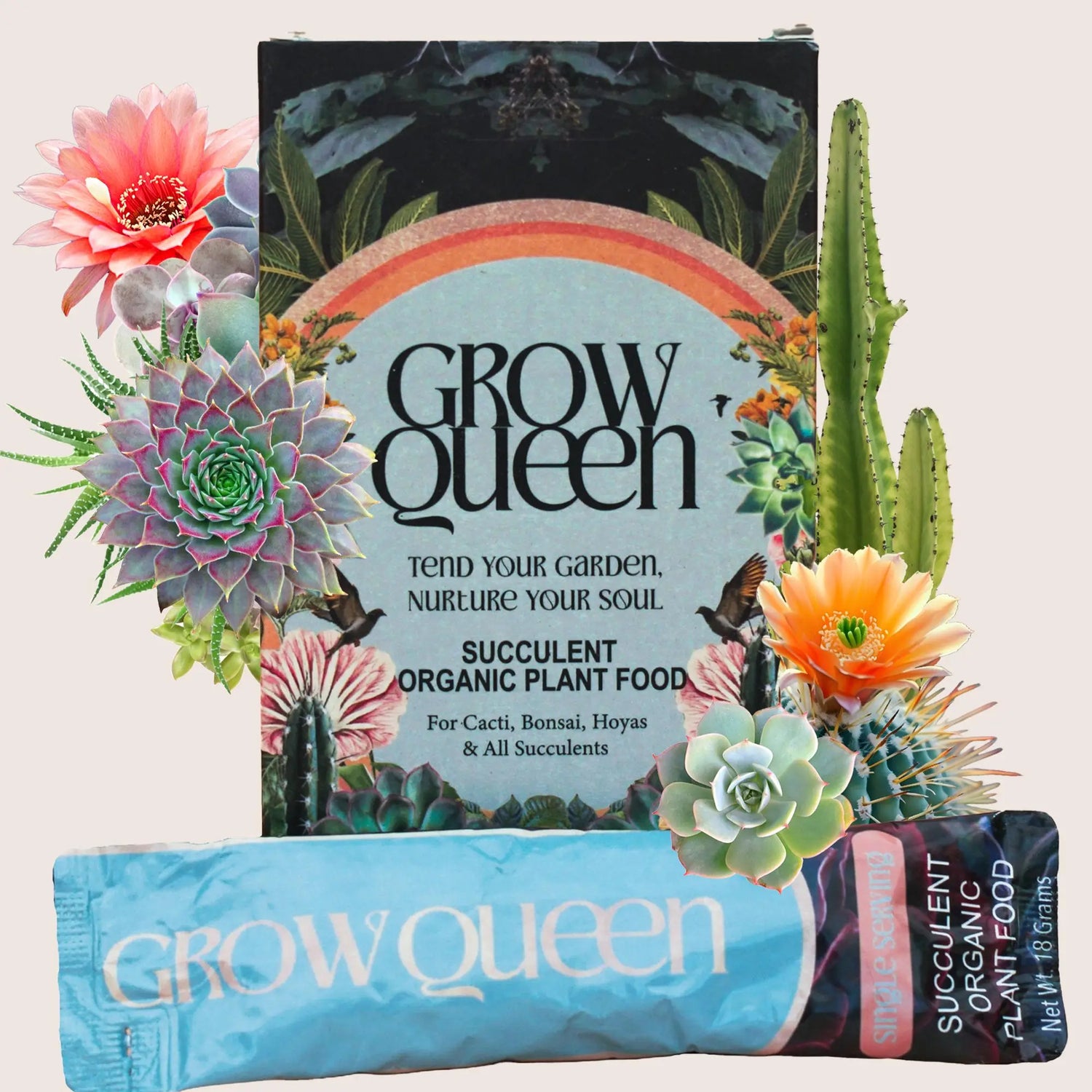 Box Of Organic Succulent Single Serve Packets Grow Queen