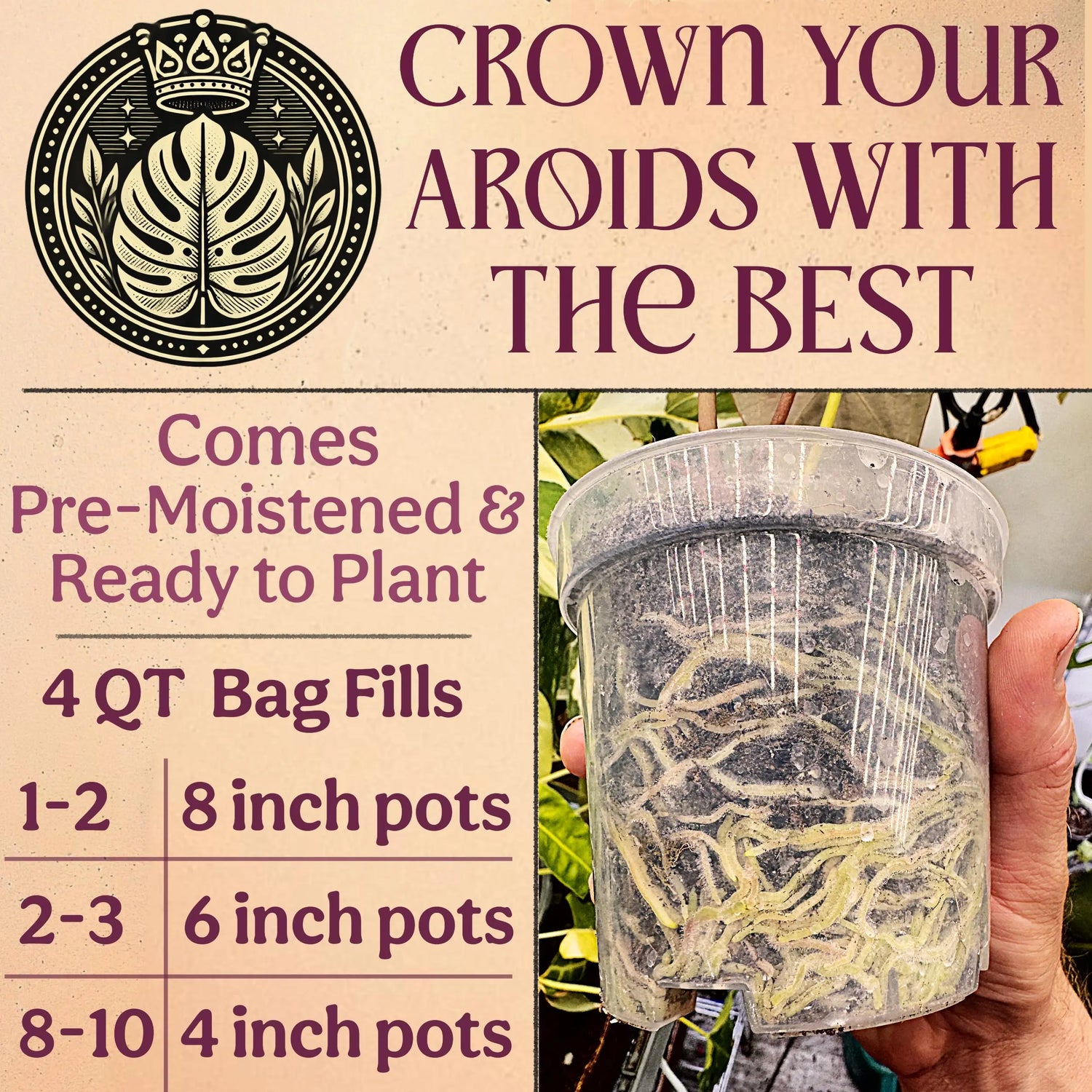 Craft Aroid Potting Mix for Indoor Tropical Plants & Houseplants Grow Queen