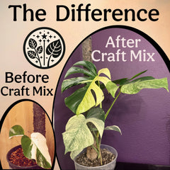 Craft Aroid Potting Mix for Indoor Tropical Plants & Houseplants Grow Queen