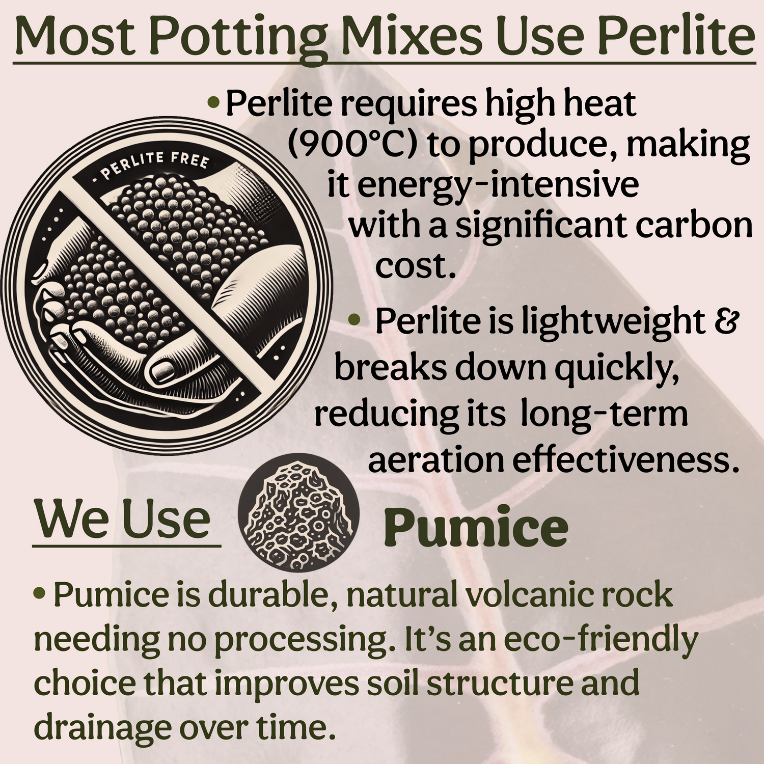 Craft Houseplant Potting Mix
